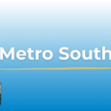 Branch - Metro South